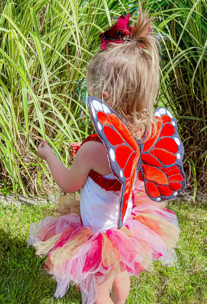 Quilted Butterfly Wings